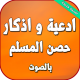 الأربعون النووية